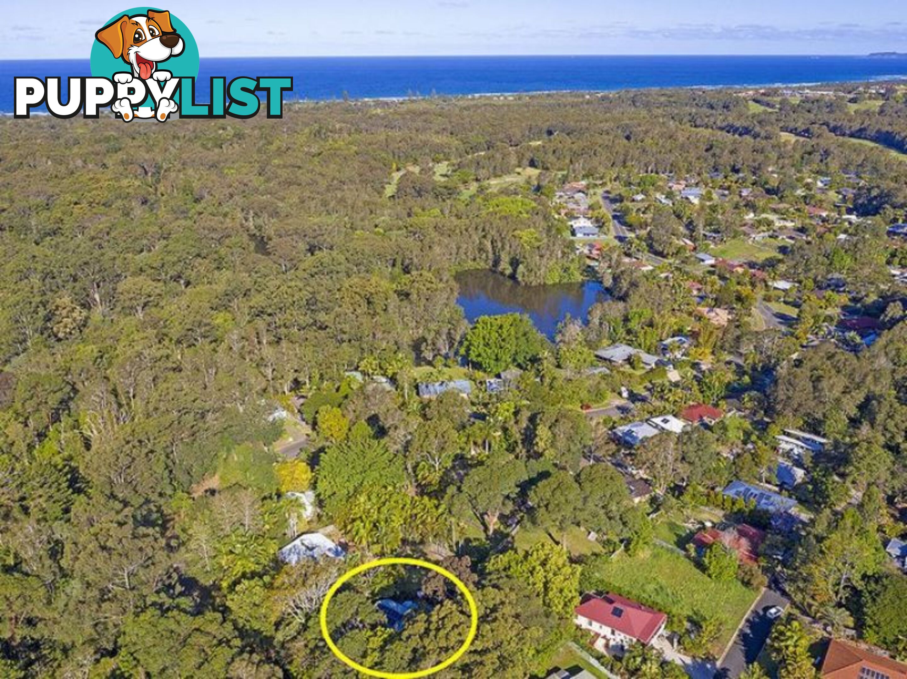 111 Balemo Drive OCEAN SHORES NSW 2483