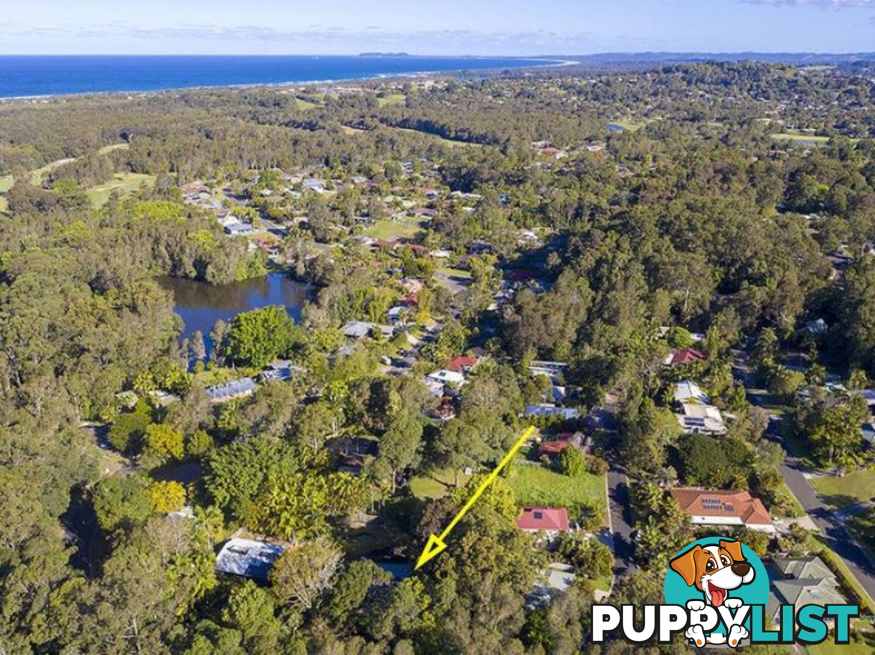 111 Balemo Drive OCEAN SHORES NSW 2483