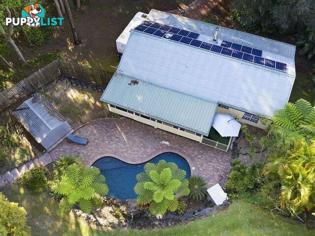 111 Balemo Drive OCEAN SHORES NSW 2483