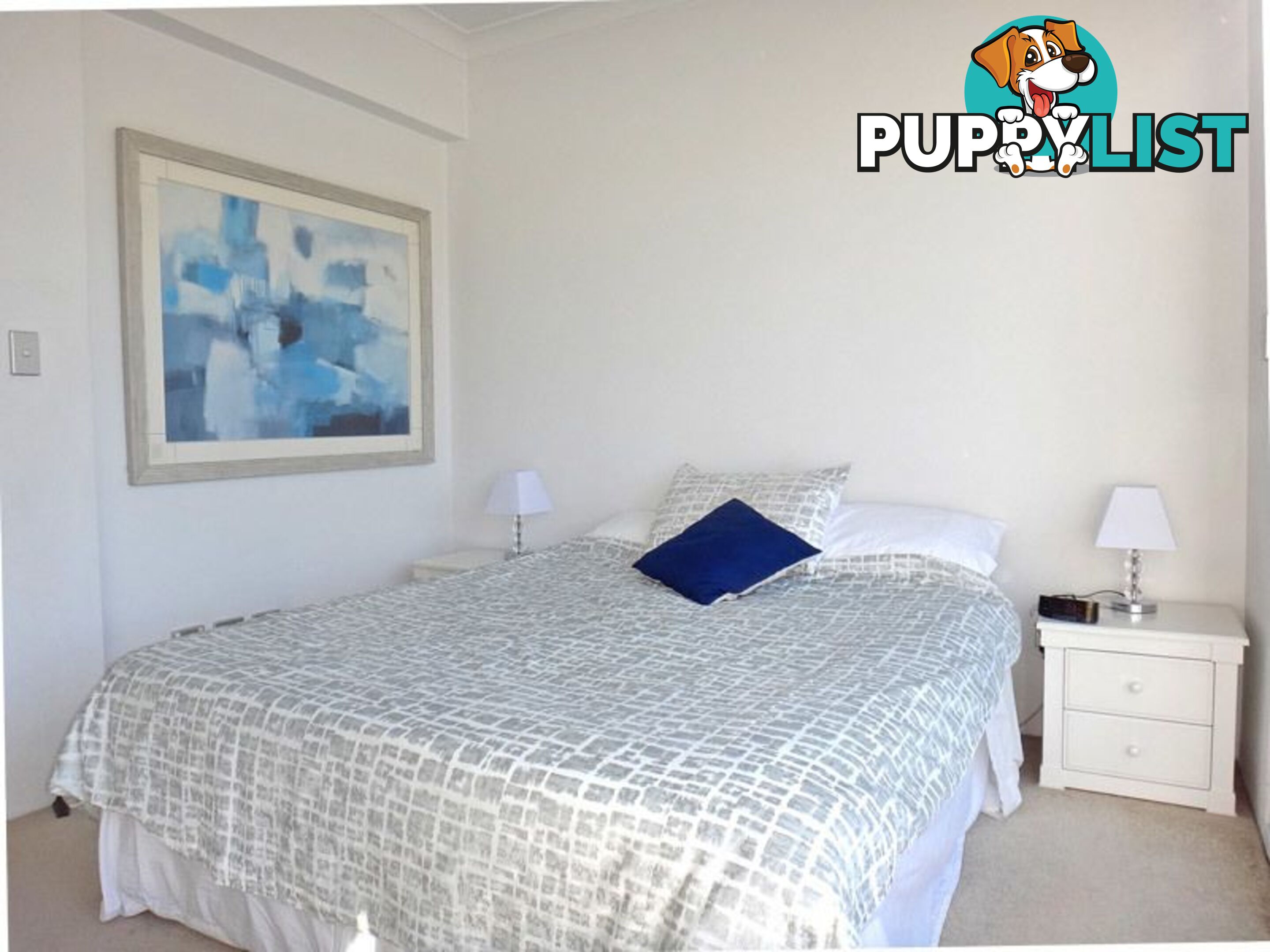 FURNISHED 1 BED 242 Elizabeth St SYDNEY NSW 2000