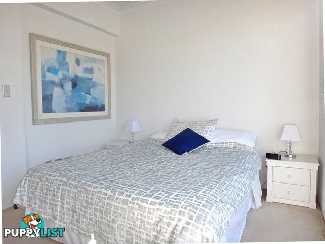 FURNISHED 1 BED 242 Elizabeth St SYDNEY NSW 2000