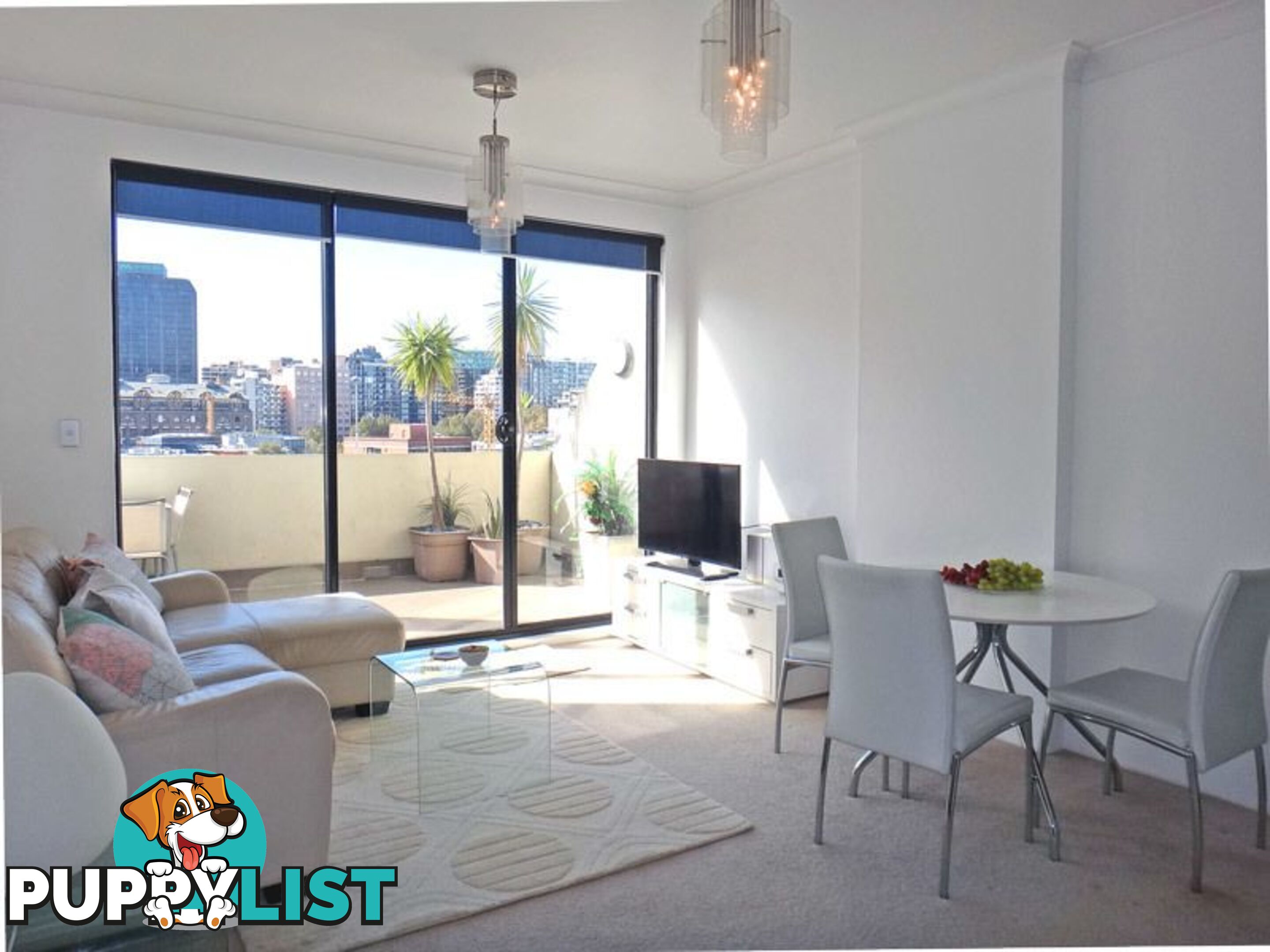 FURNISHED 1 BED 242 Elizabeth St SYDNEY NSW 2000