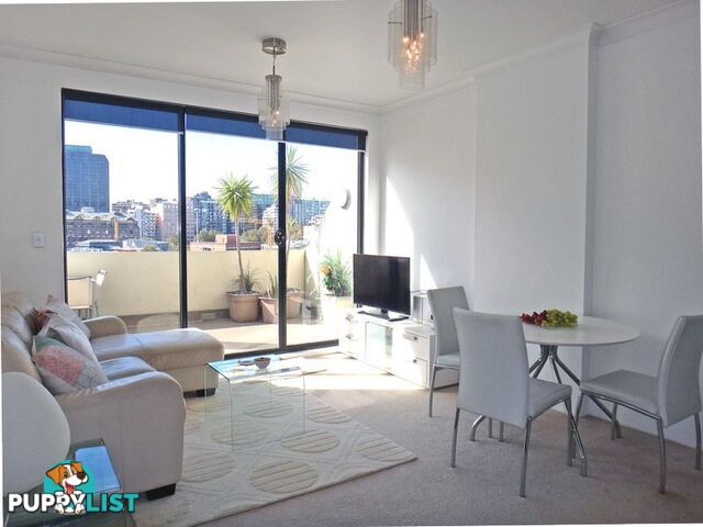 FURNISHED 1 BED 242 Elizabeth St SYDNEY NSW 2000