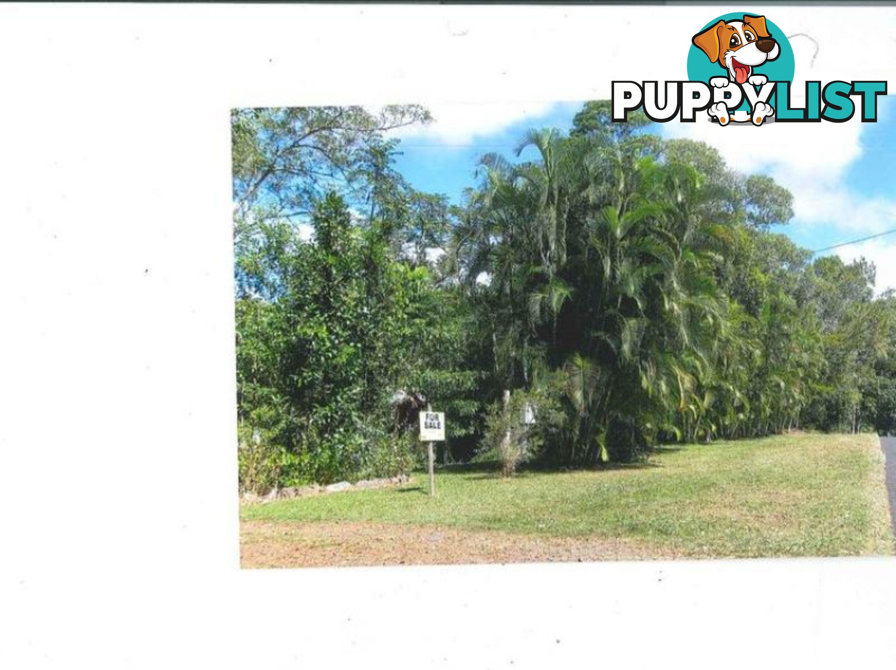 22 Warril Dr KURANDA QLD 4881