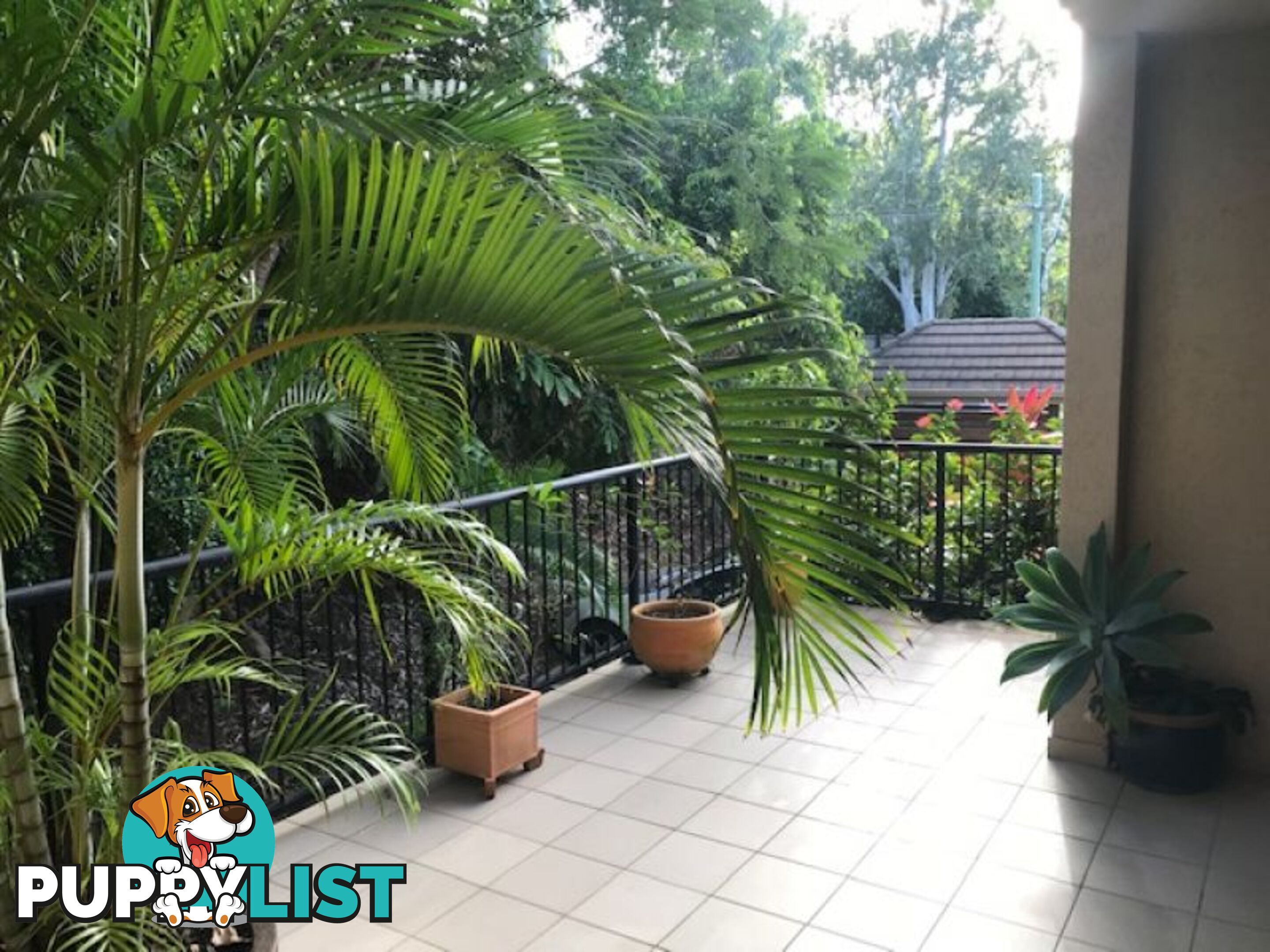 304 55 Clifton Road CLIFTON BEACH QLD 4879