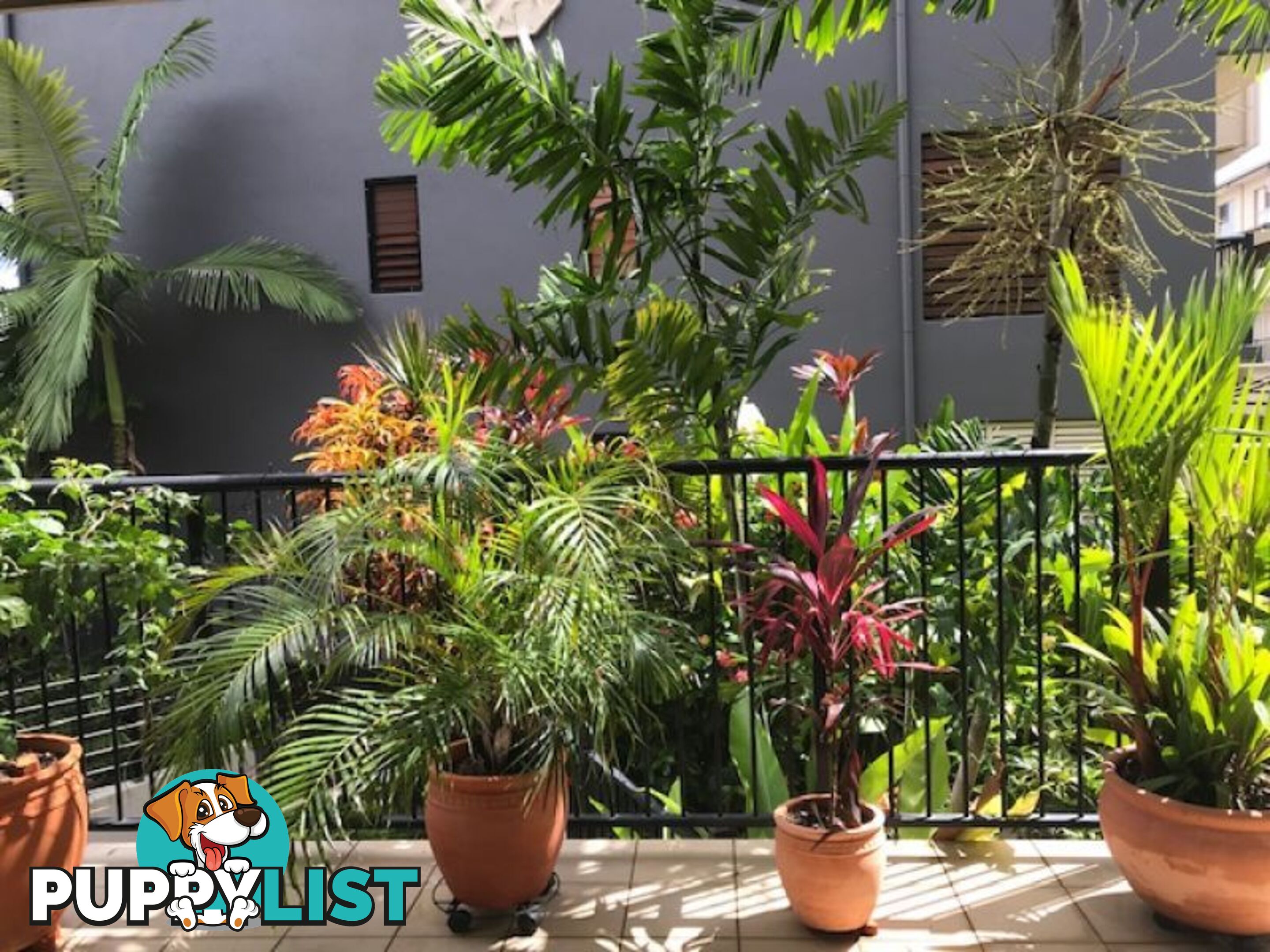 304 55 Clifton Road CLIFTON BEACH QLD 4879