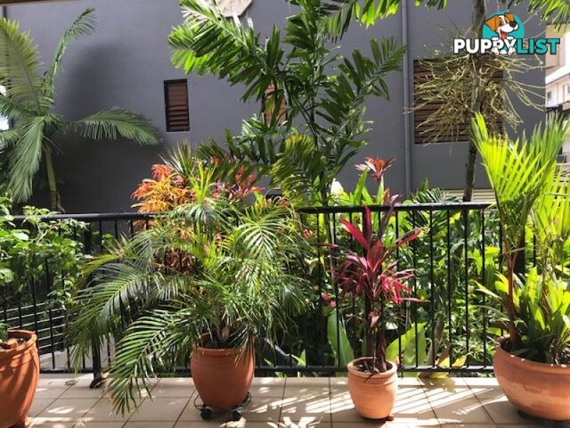 304 55 Clifton Road CLIFTON BEACH QLD 4879