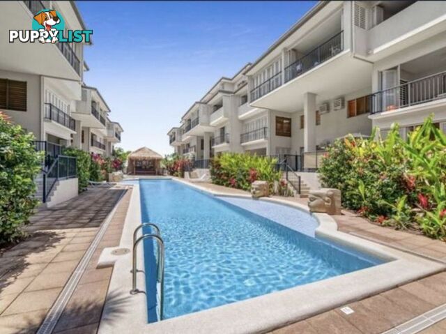 304 55 Clifton Road CLIFTON BEACH QLD 4879