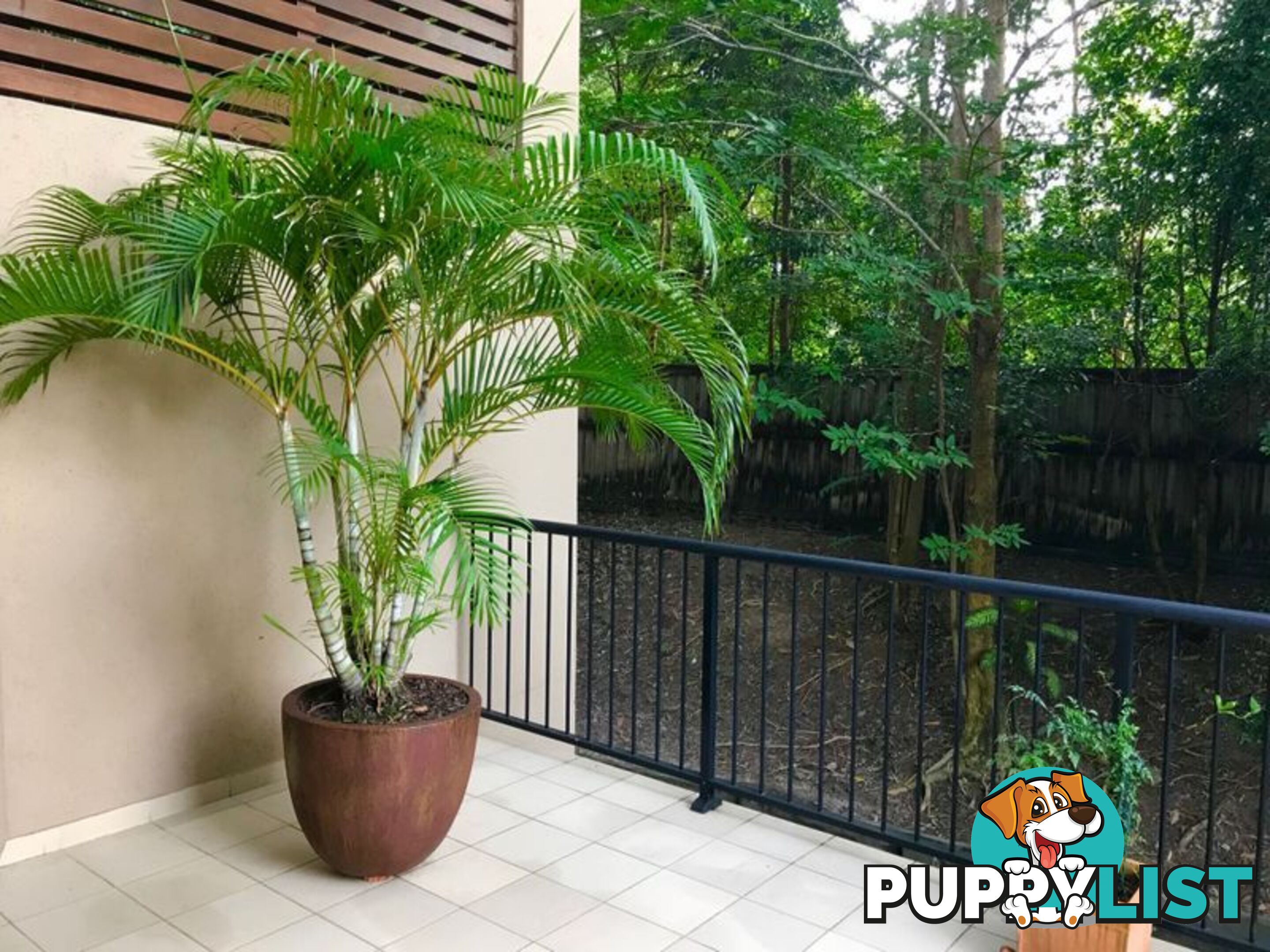 304 55 Clifton Road CLIFTON BEACH QLD 4879
