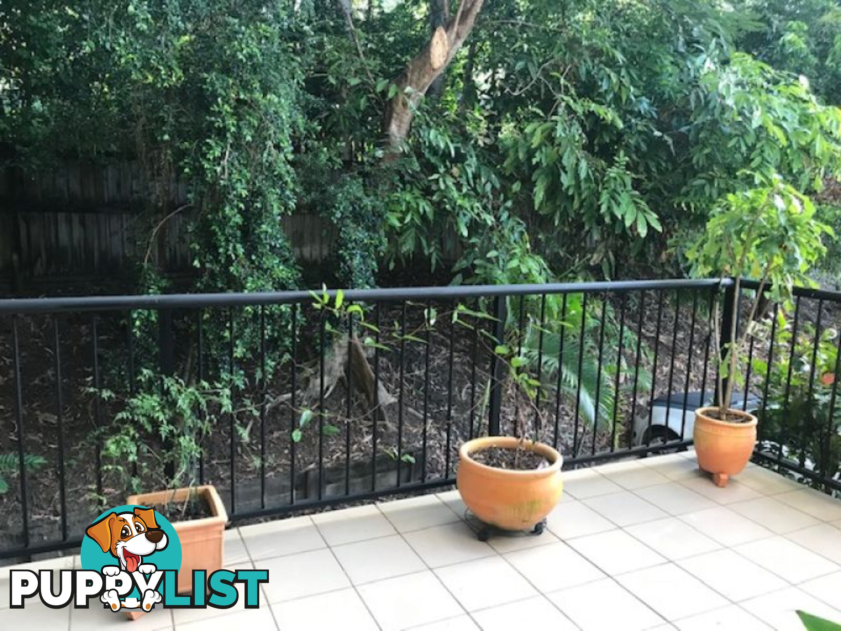 304 55 Clifton Road CLIFTON BEACH QLD 4879