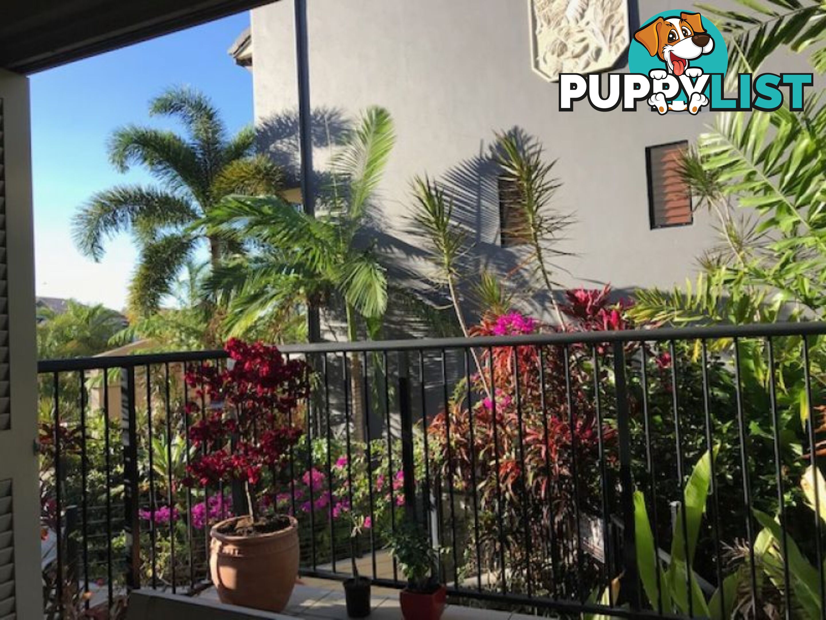 304 55 Clifton Road CLIFTON BEACH QLD 4879