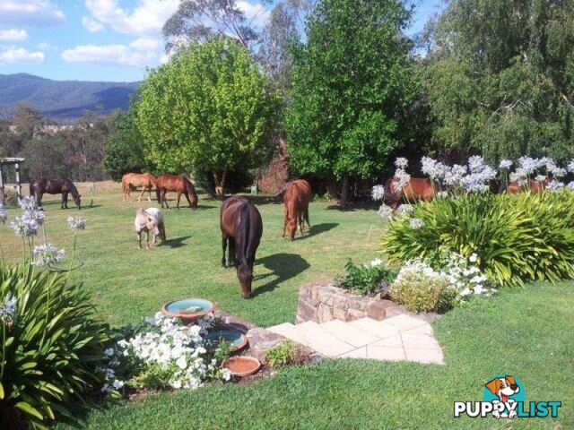 149 Waterfall Creek Road TALLANGATTA VALLEY VIC 3701