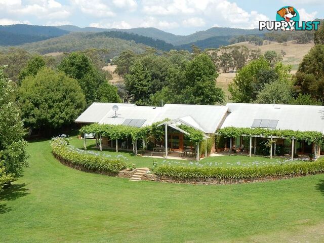 149 Waterfall Creek Road TALLANGATTA VALLEY VIC 3701