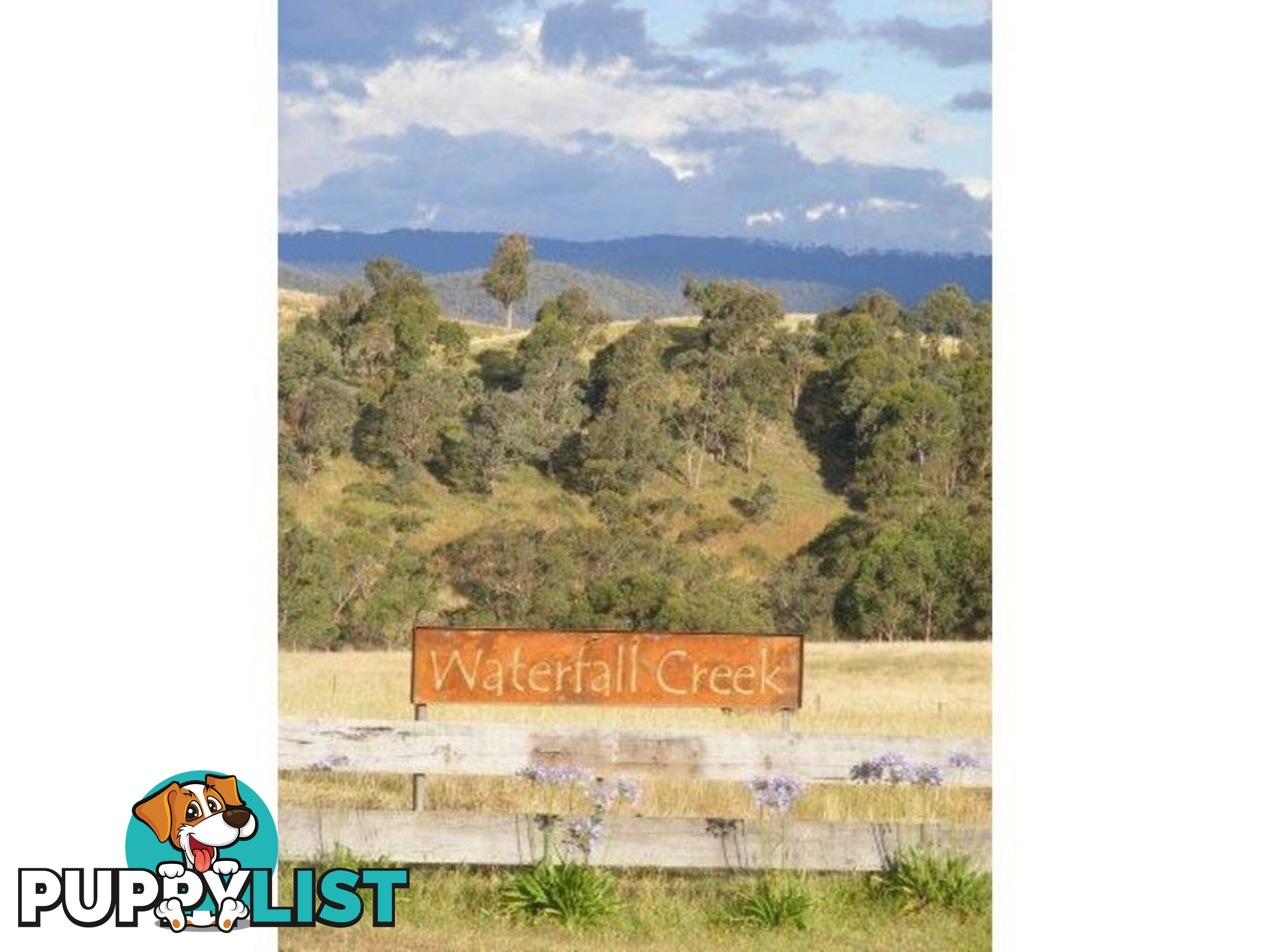 149 Waterfall Creek Road TALLANGATTA VALLEY VIC 3701