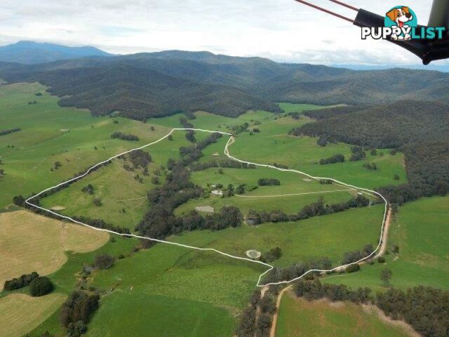 149 Waterfall Creek Road TALLANGATTA VALLEY VIC 3701