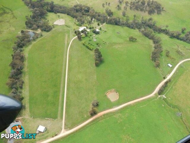 149 Waterfall Creek Road TALLANGATTA VALLEY VIC 3701