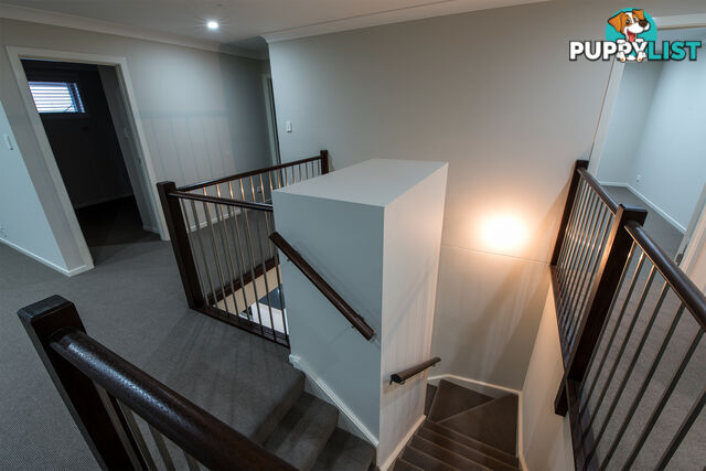 52 Petal Parkway THE PONDS NSW 2769