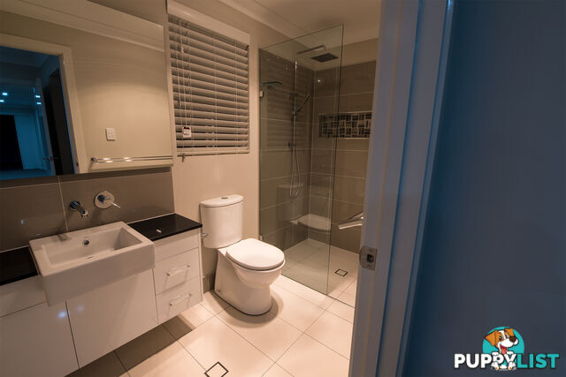 52 Petal Parkway THE PONDS NSW 2769