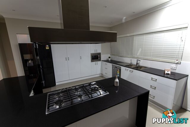 52 Petal Parkway THE PONDS NSW 2769