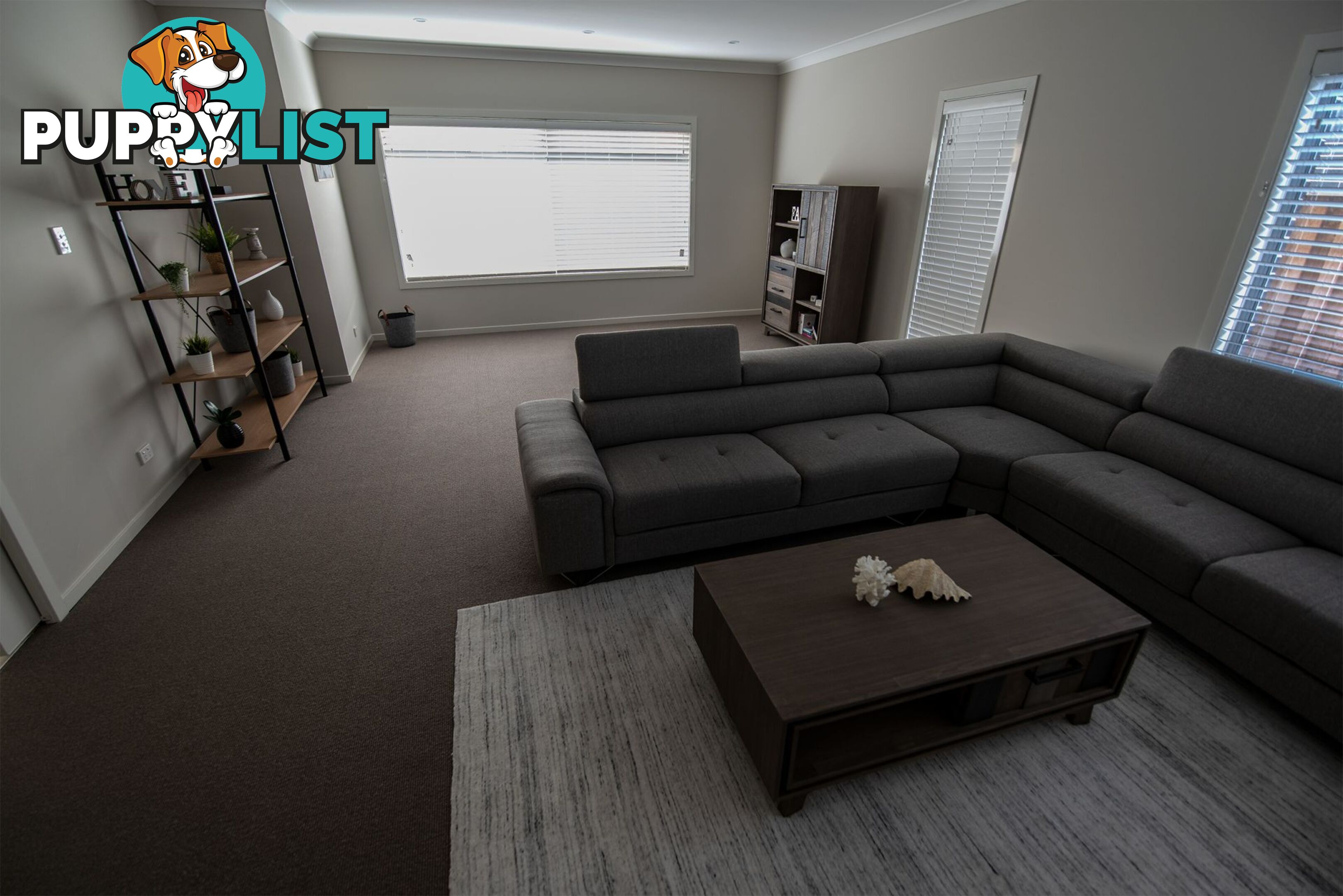 52 Petal Parkway THE PONDS NSW 2769
