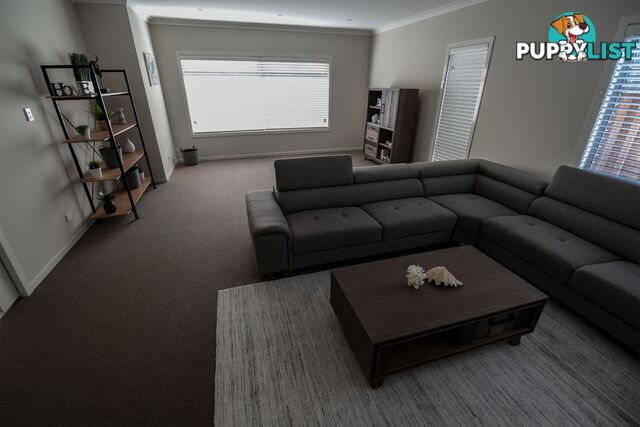 52 Petal Parkway THE PONDS NSW 2769