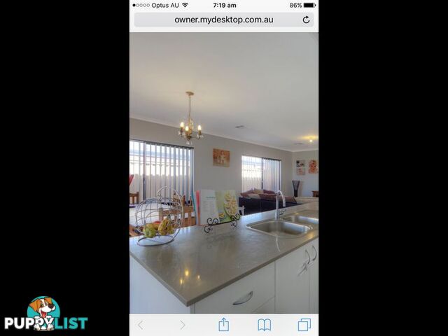 23 Carmathen Ave BUTLER WA 6036
