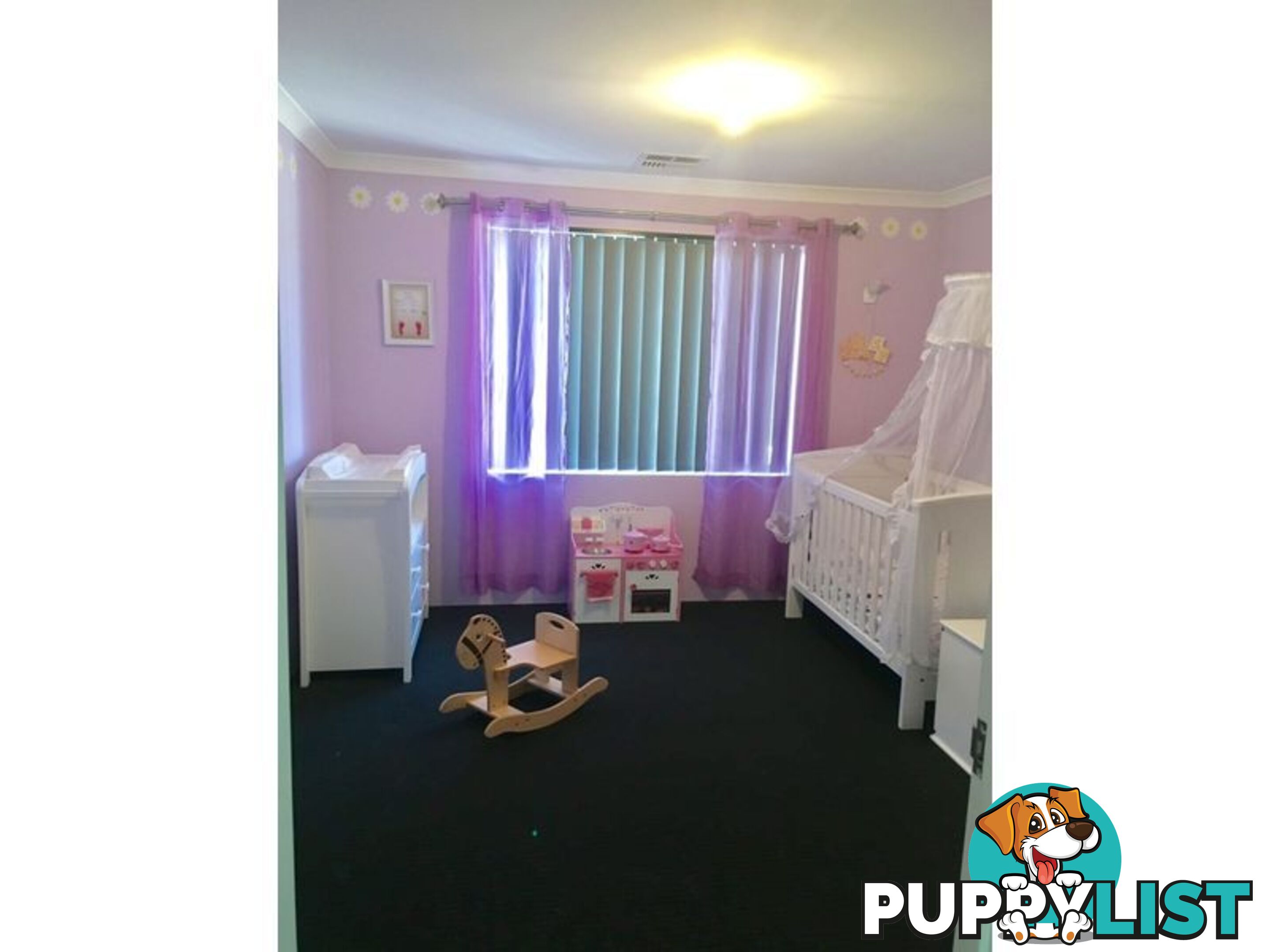 23 Carmathen Ave BUTLER WA 6036