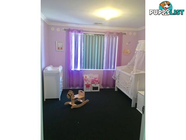 23 Carmathen Ave BUTLER WA 6036