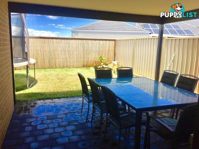 23 Carmathen Ave BUTLER WA 6036