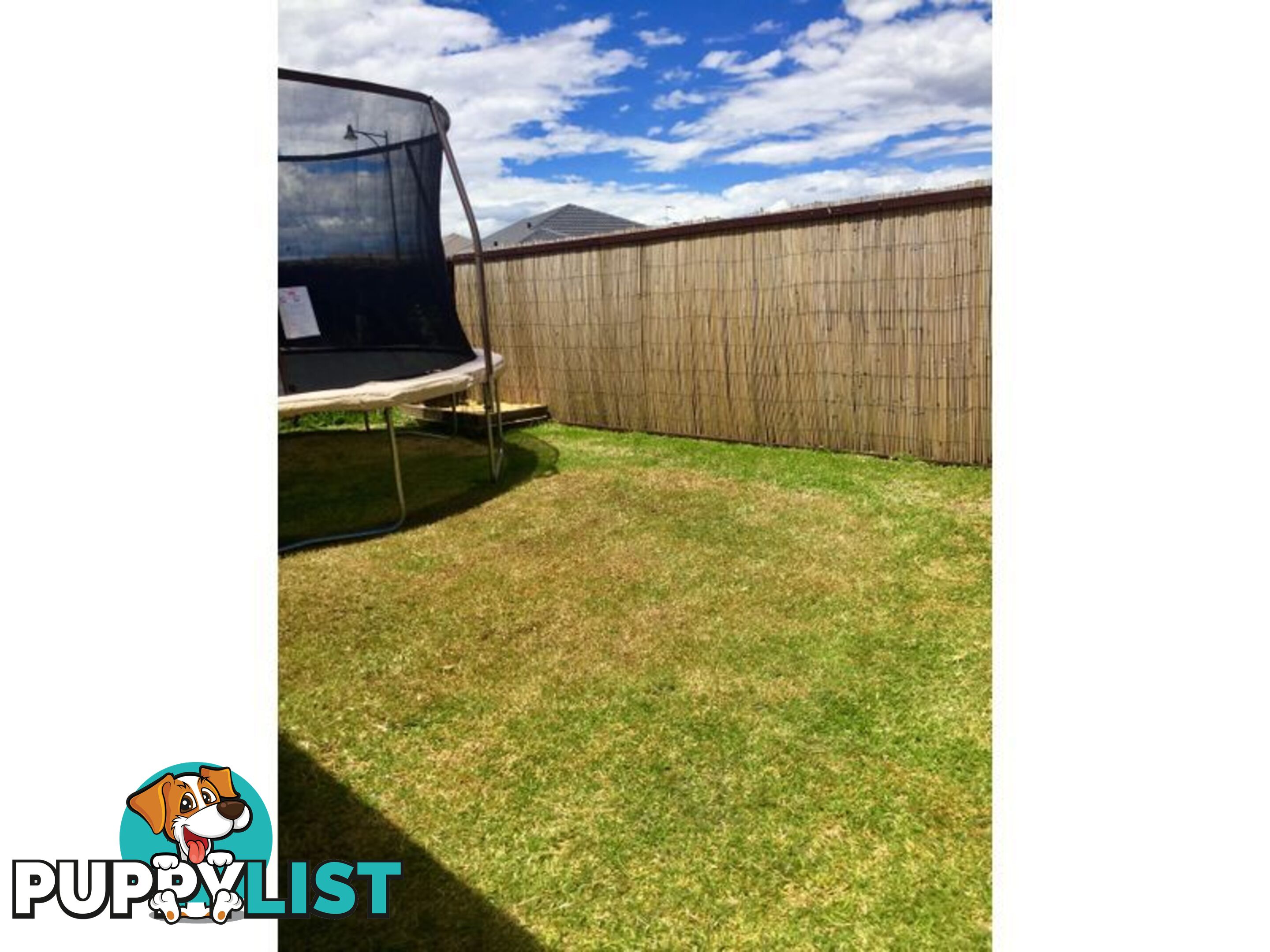 23 Carmathen Ave BUTLER WA 6036