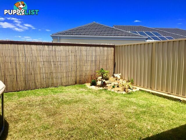 23 Carmathen Ave BUTLER WA 6036