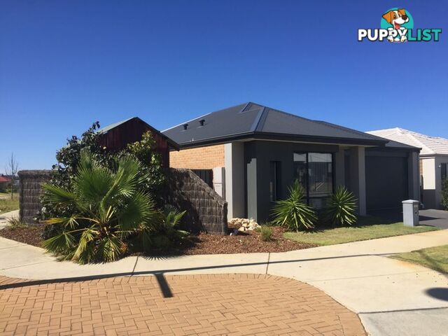 23 Carmathen Ave BUTLER WA 6036