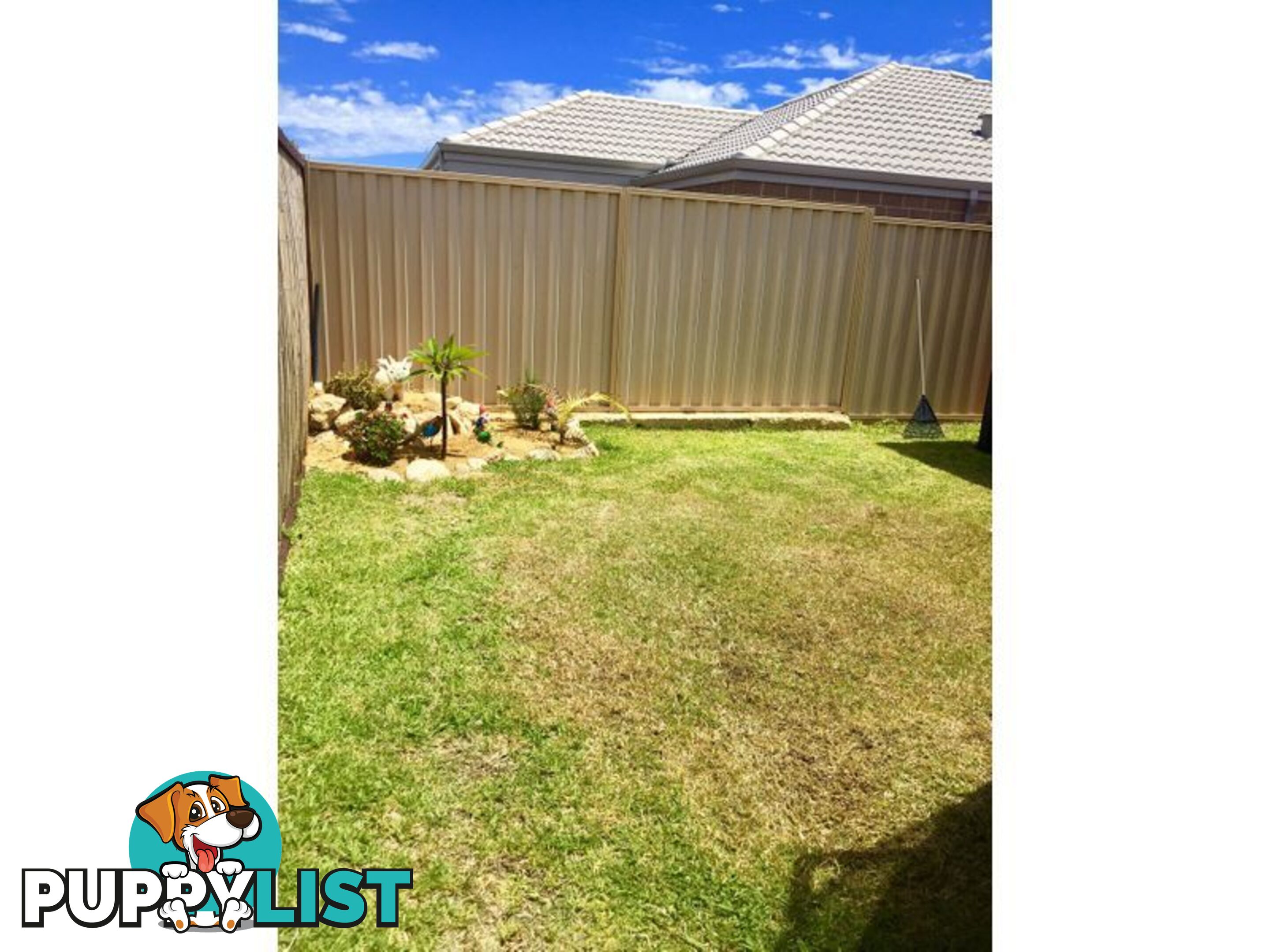 23 Carmathen Ave BUTLER WA 6036