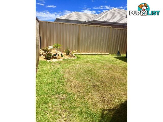 23 Carmathen Ave BUTLER WA 6036