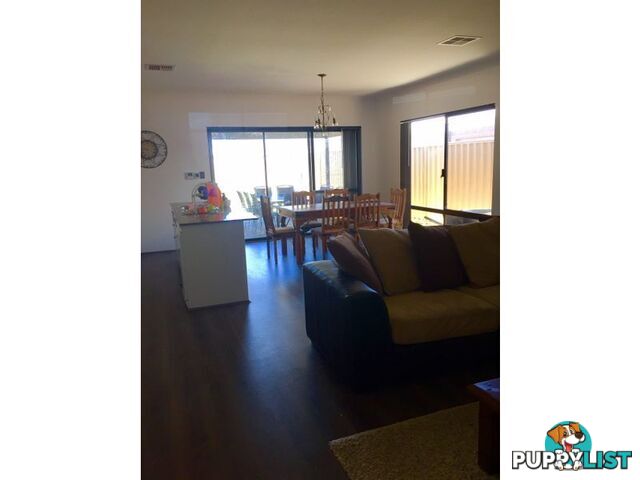 23 Carmathen Ave BUTLER WA 6036