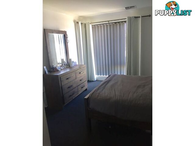 23 Carmathen Ave BUTLER WA 6036