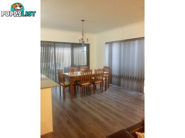 23 Carmathen Ave BUTLER WA 6036