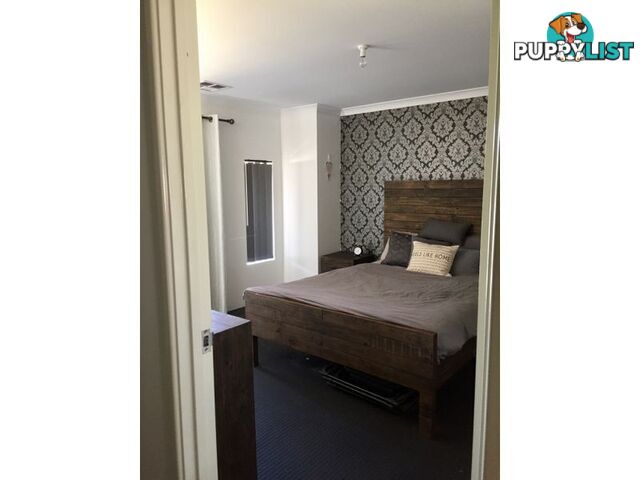 23 Carmathen Ave BUTLER WA 6036