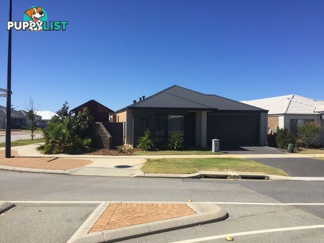 23 Carmathen Ave BUTLER WA 6036