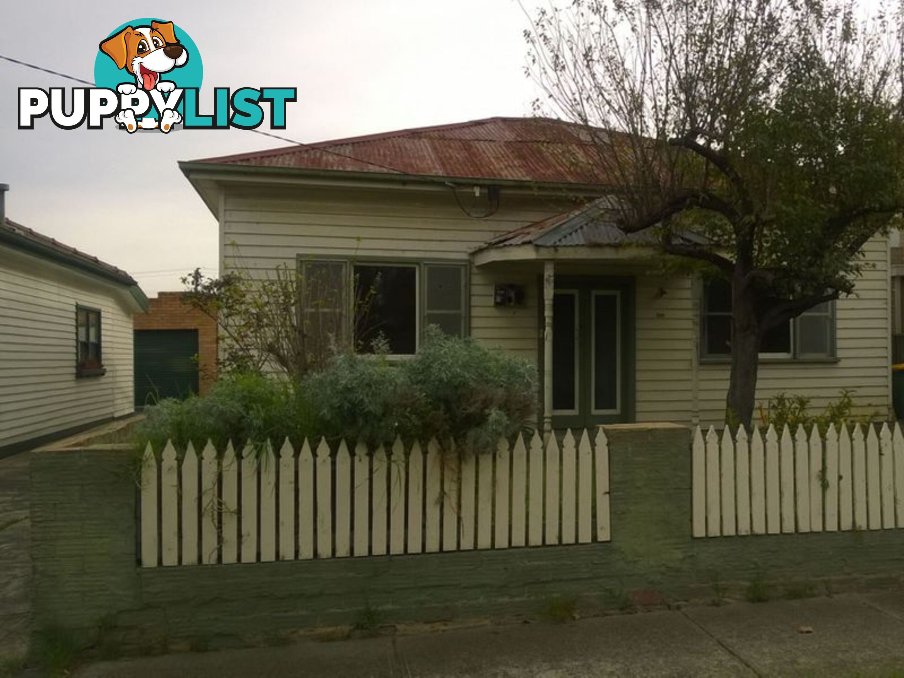 292 Gillies Street FAIRFIELD VIC 3078