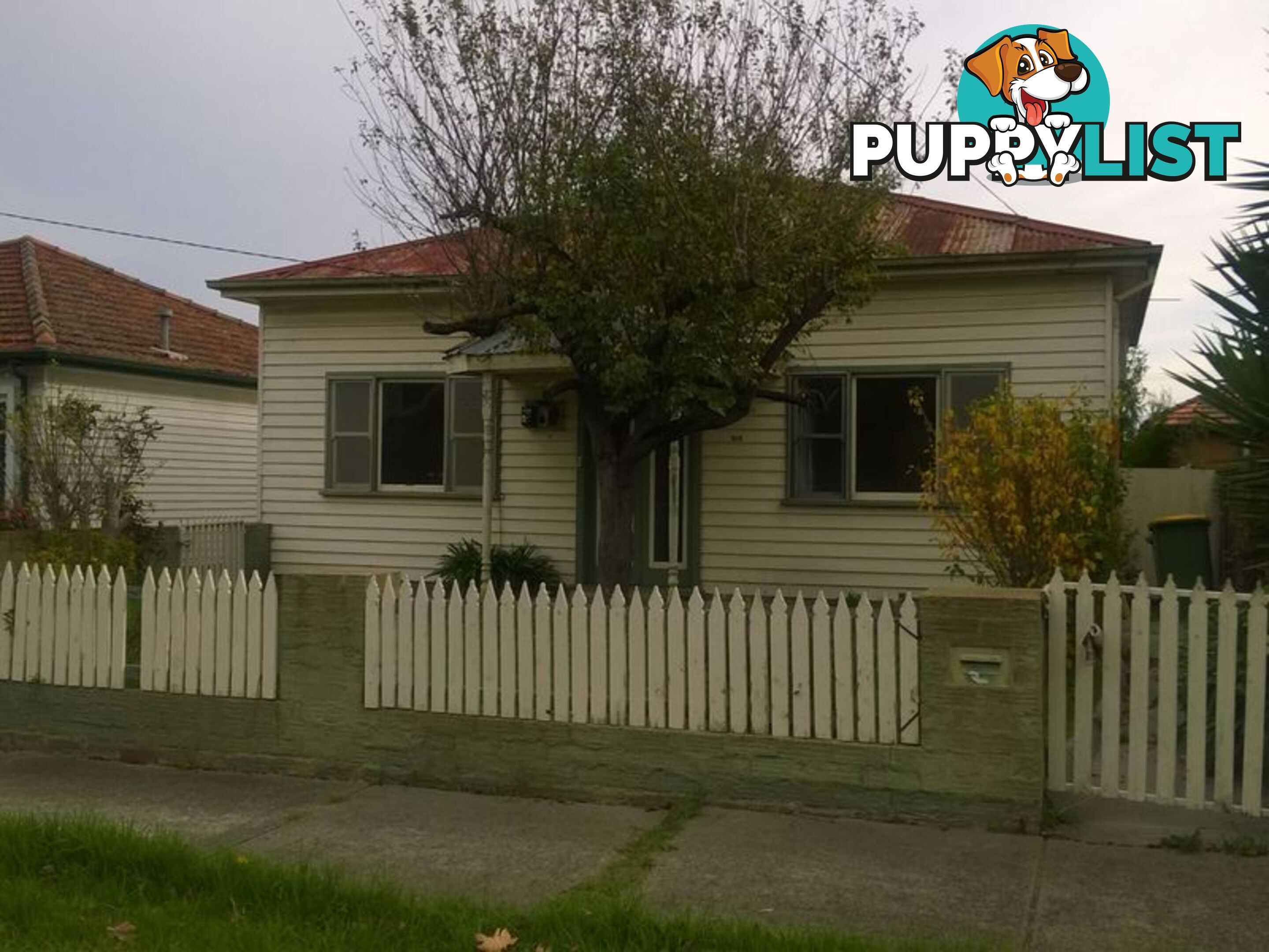 292 Gillies Street FAIRFIELD VIC 3078