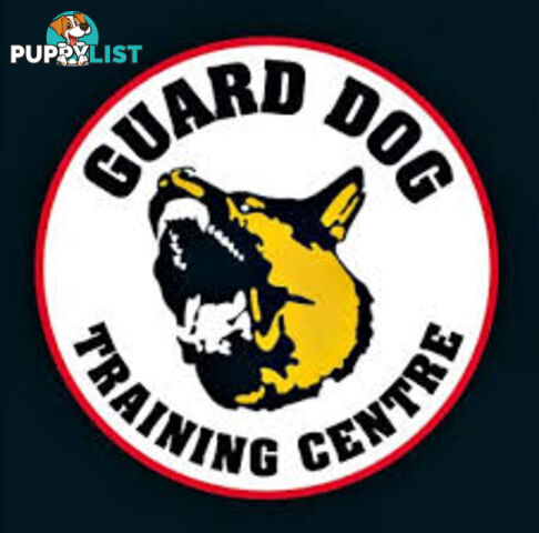 Guard Dogs FOR SALE