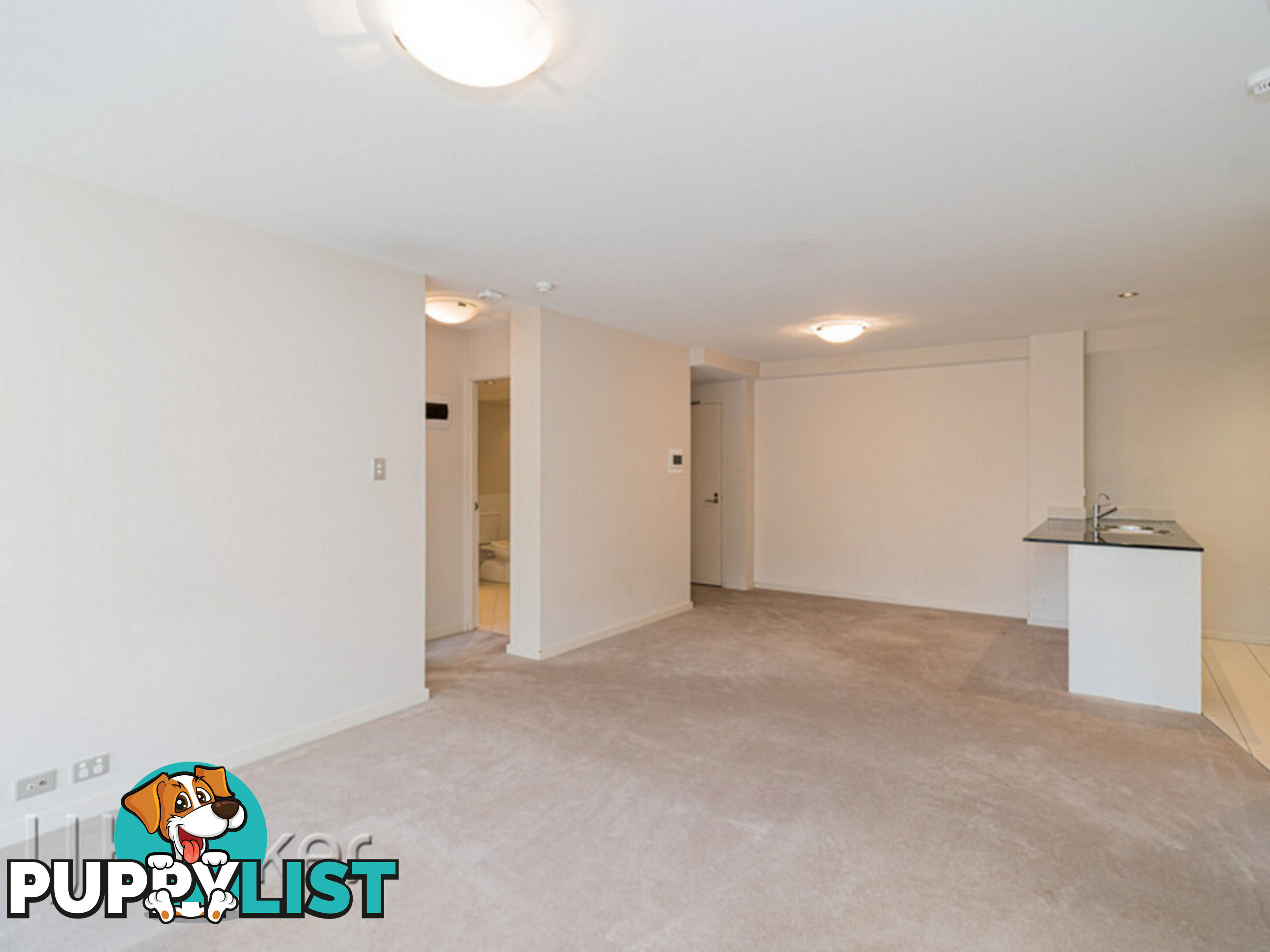 8/369 Hay Street PERTH WA 6000