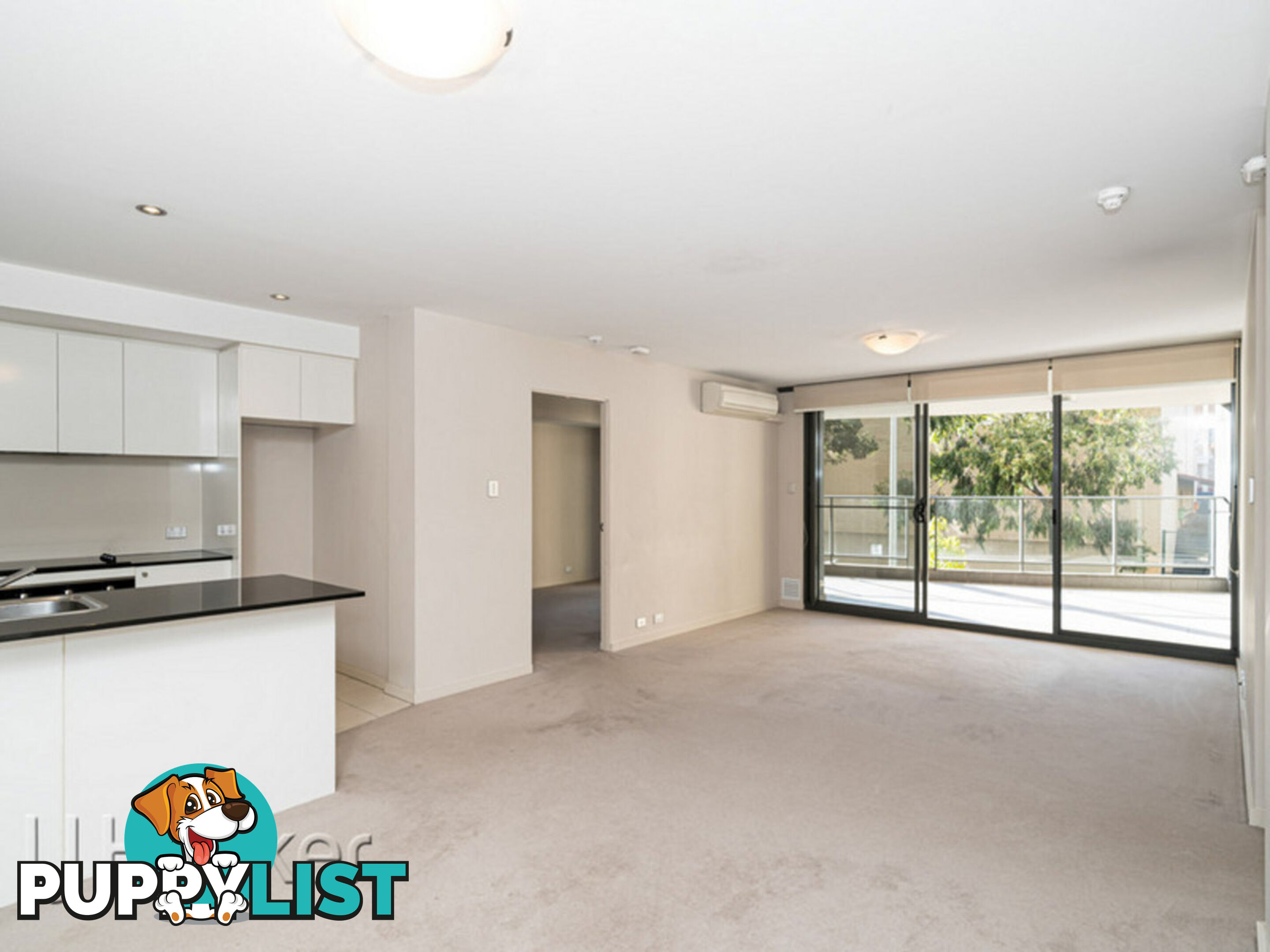 8/369 Hay Street PERTH WA 6000