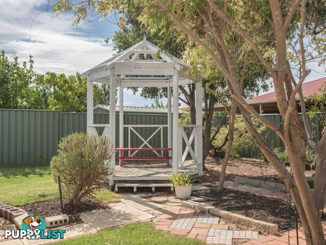 12 Merlin Way WATTLE GROVE WA 6107