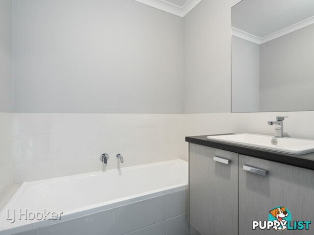 213 Hill View Terrace BENTLEY WA 6102