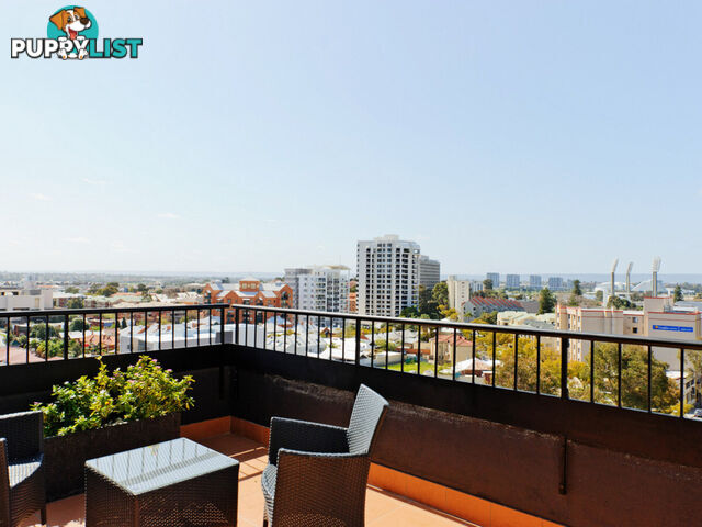 309/251 Hay Street EAST PERTH WA 6004