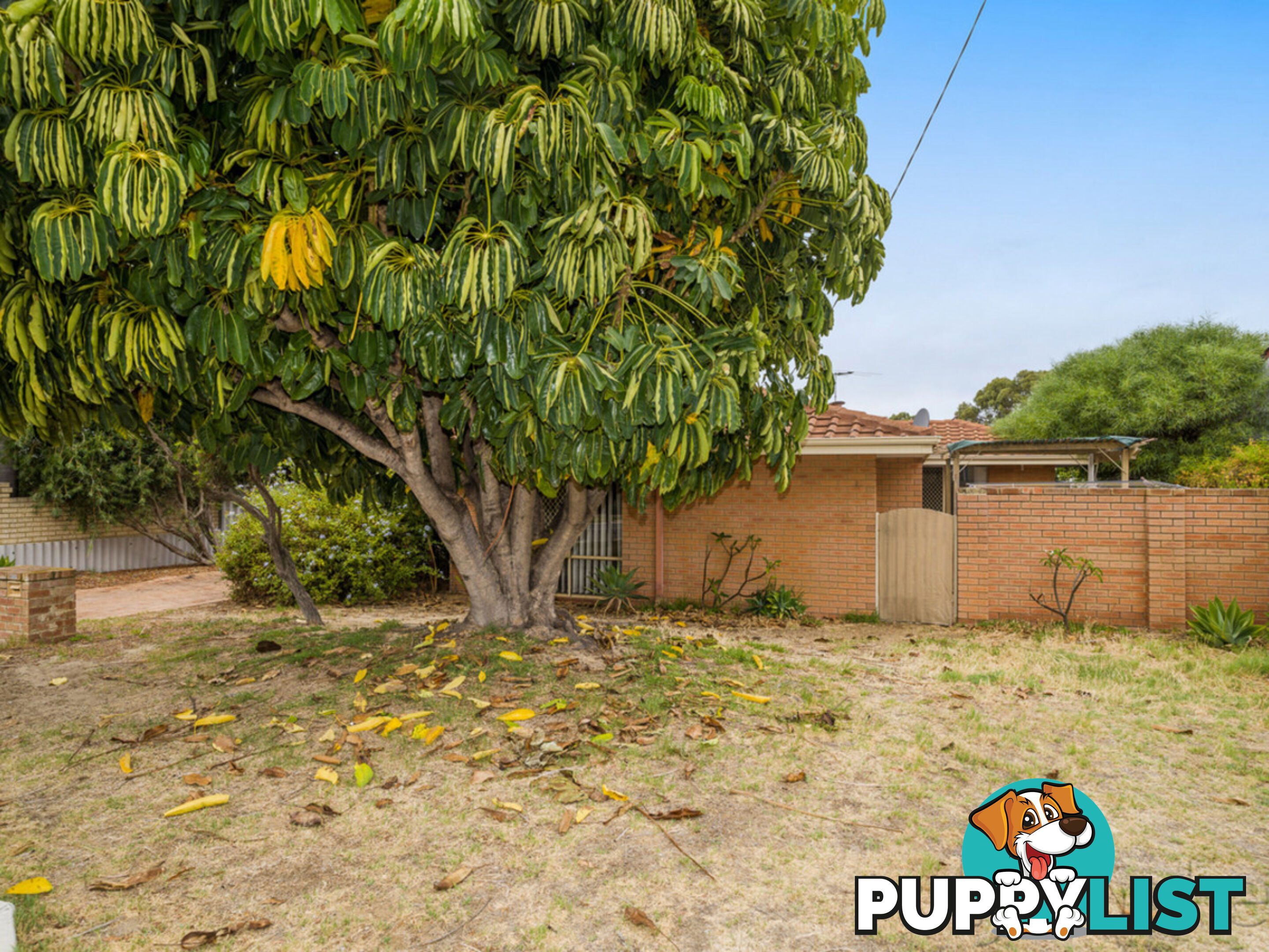 33A Stewart Street SCARBOROUGH WA 6019