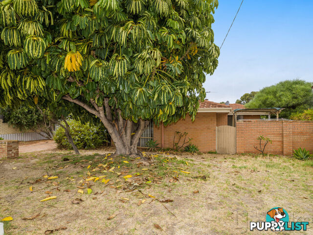 33A Stewart Street SCARBOROUGH WA 6019