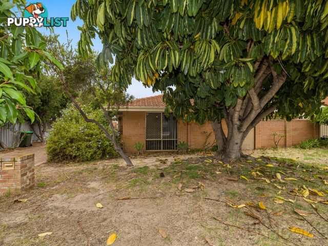 33A Stewart Street SCARBOROUGH WA 6019